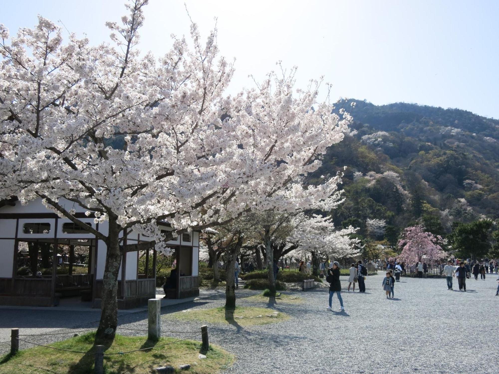 The Grandwest Arashiyama Aparthotel Kyoto Buitenkant foto